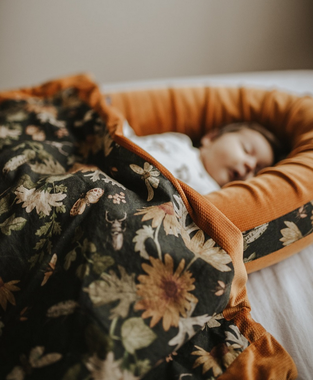 Babynest Premium Mikrokosmos