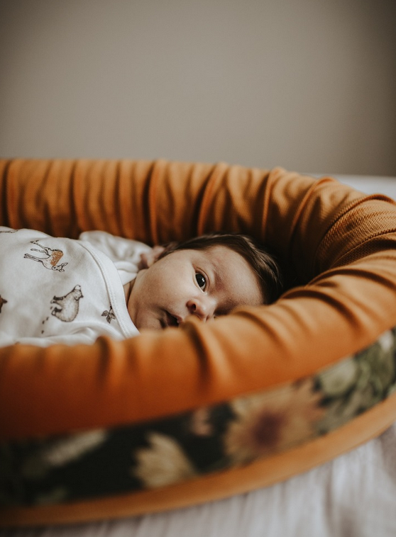 Babynest Premium Mikrokosmos