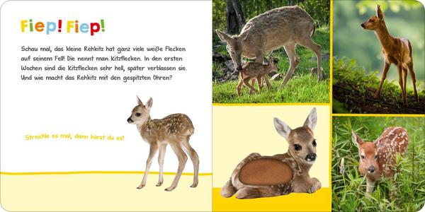 Hör mal rein, wer kann das sein? Tierbabys
