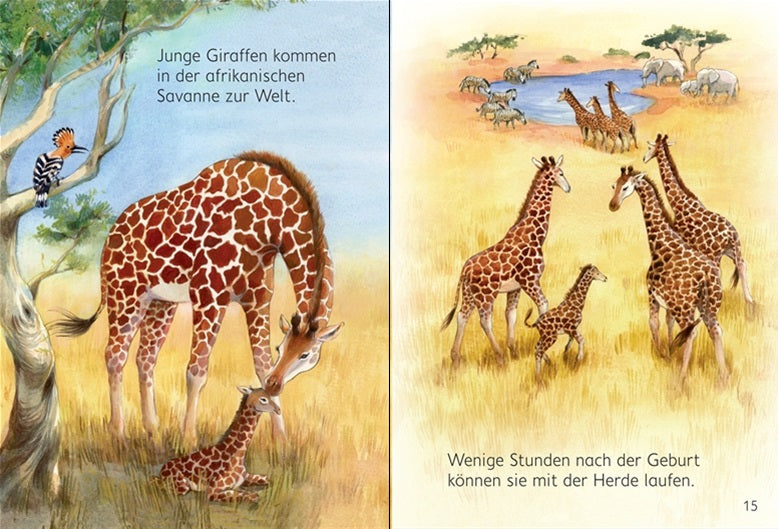 Mein erstes Natur-Wissen: Tierkinder