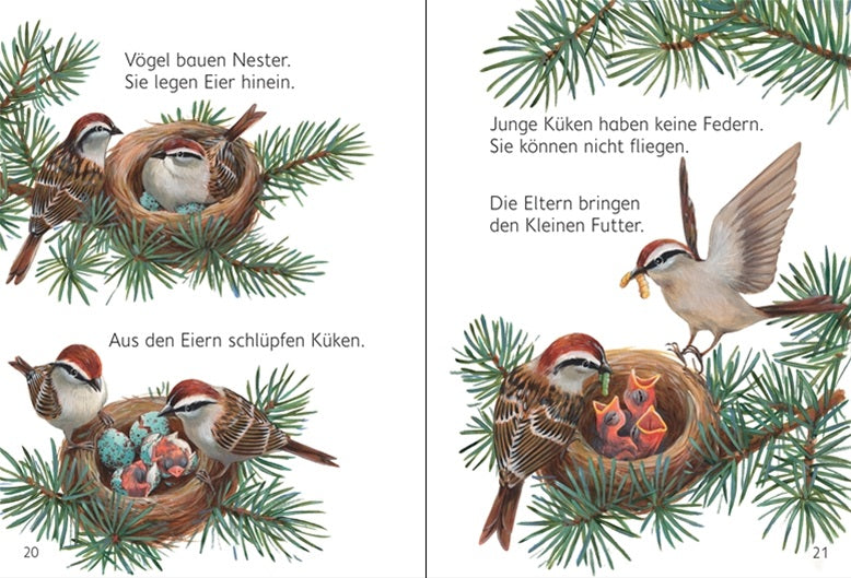 Mein erstes Natur-Wissen: Tierkinder