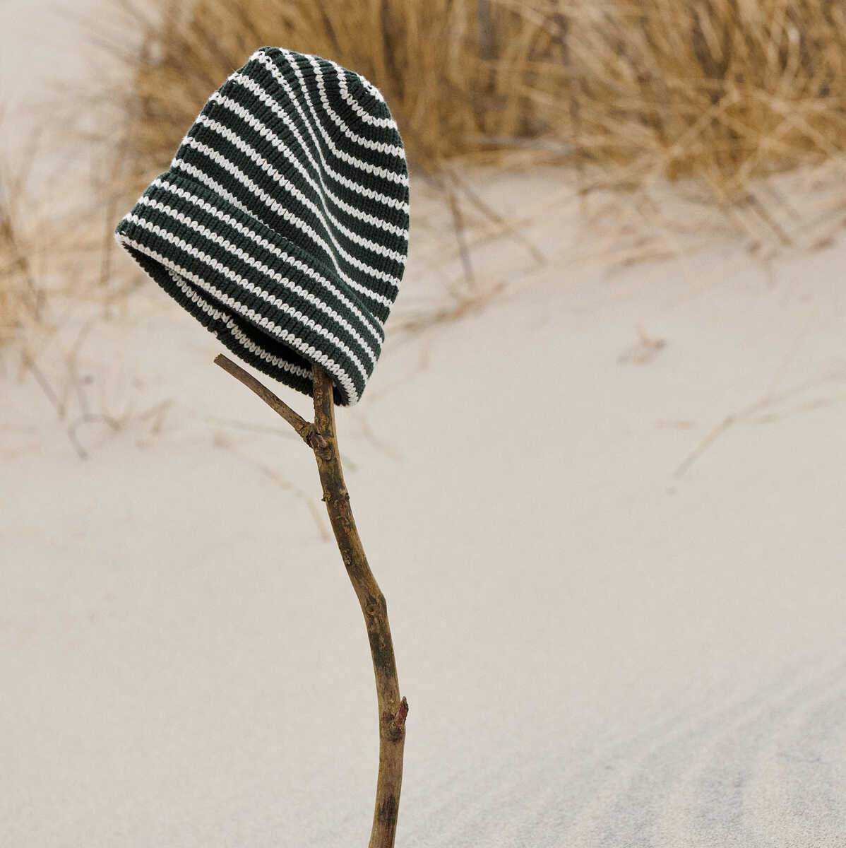 Rory Cap Australie - Coquillage