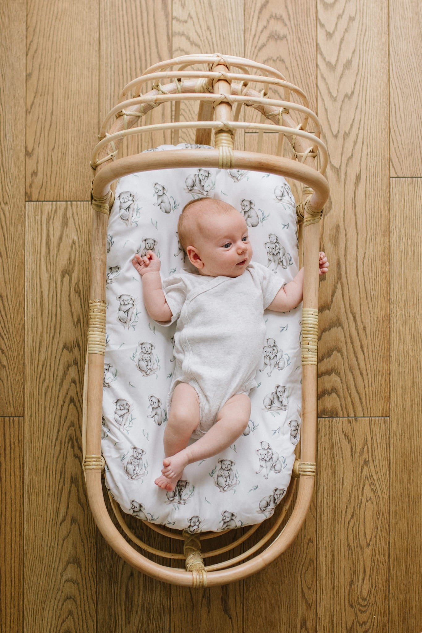 Spanntuch für Wiege / Moseskorb / Kinderwagen Koala