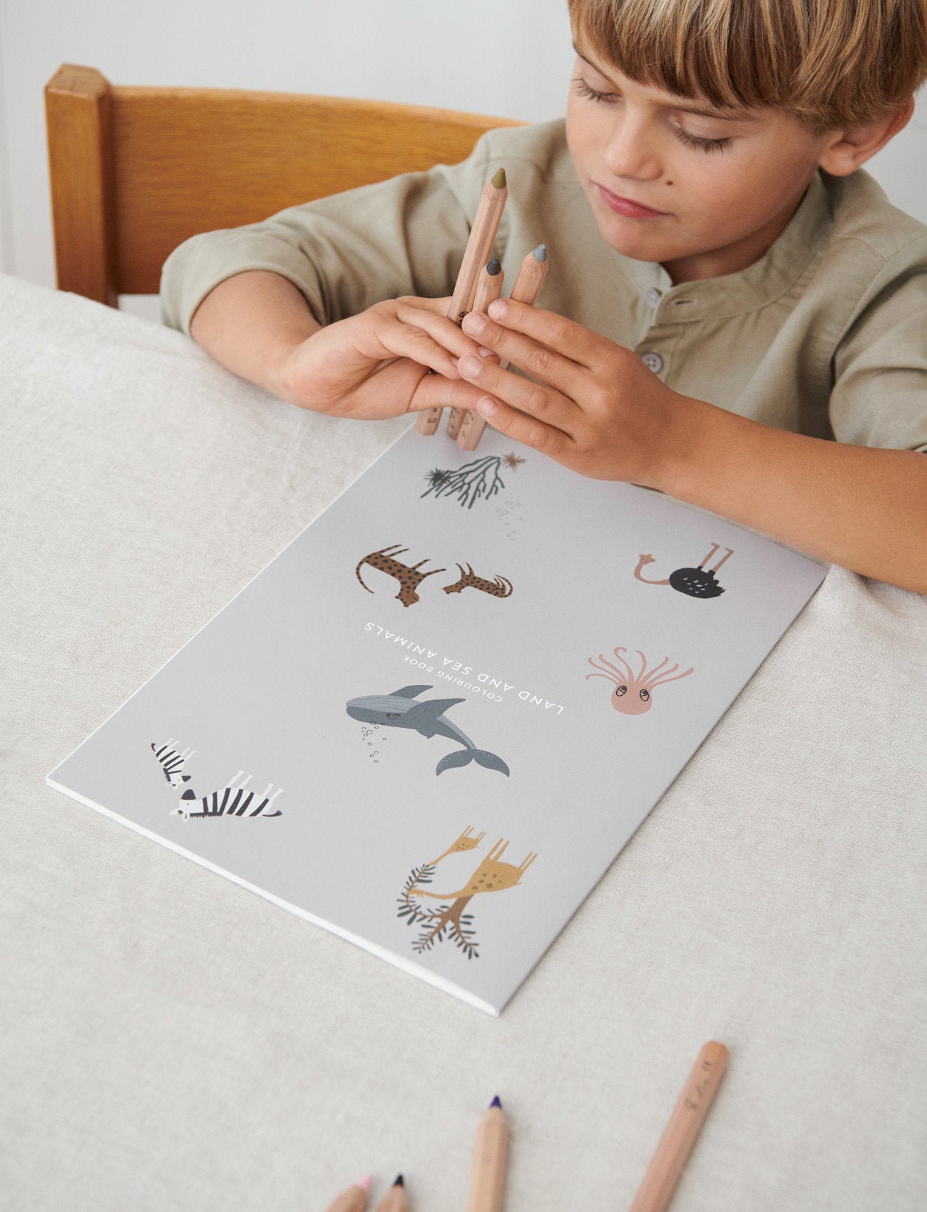 Collection de papiers : Livre de coloriage d'animaux