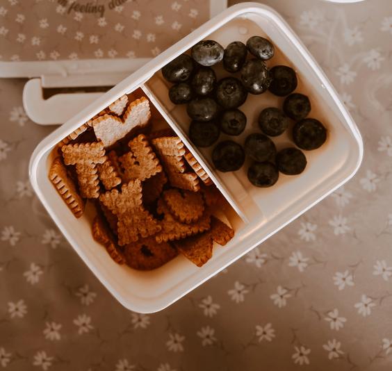 Raymon Snack Box Elephant Tuscany Rose