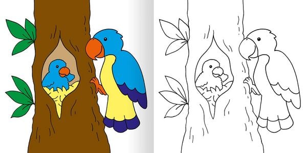 Mein erstes dickes Malbuch Bunte Tierwelt
