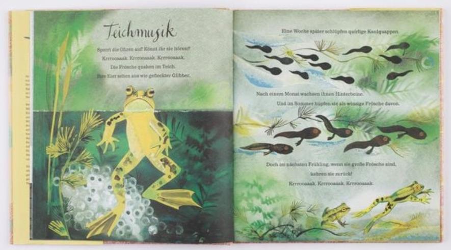 Mein erstes grosses Buch von der Natur
