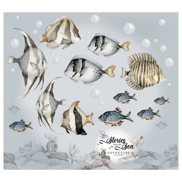 Fish Stories from the Sea
