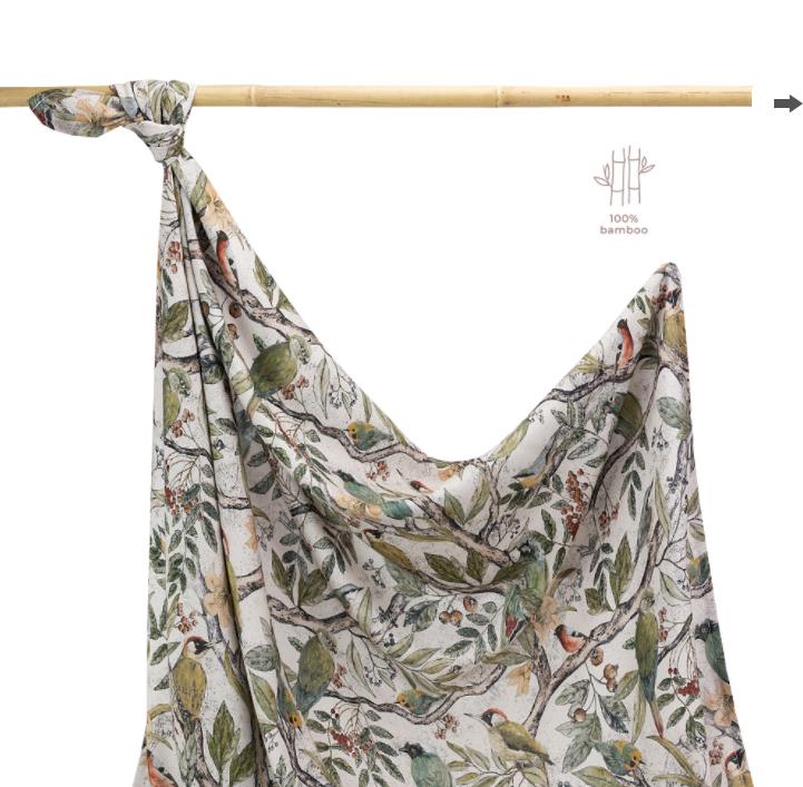 Swaddle Ornithology
