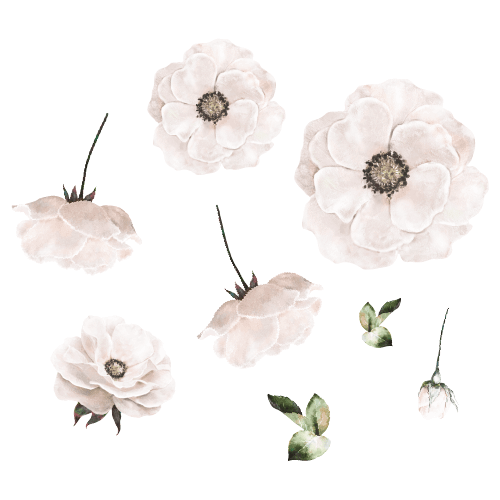 Wandsticker Poppy Flower White