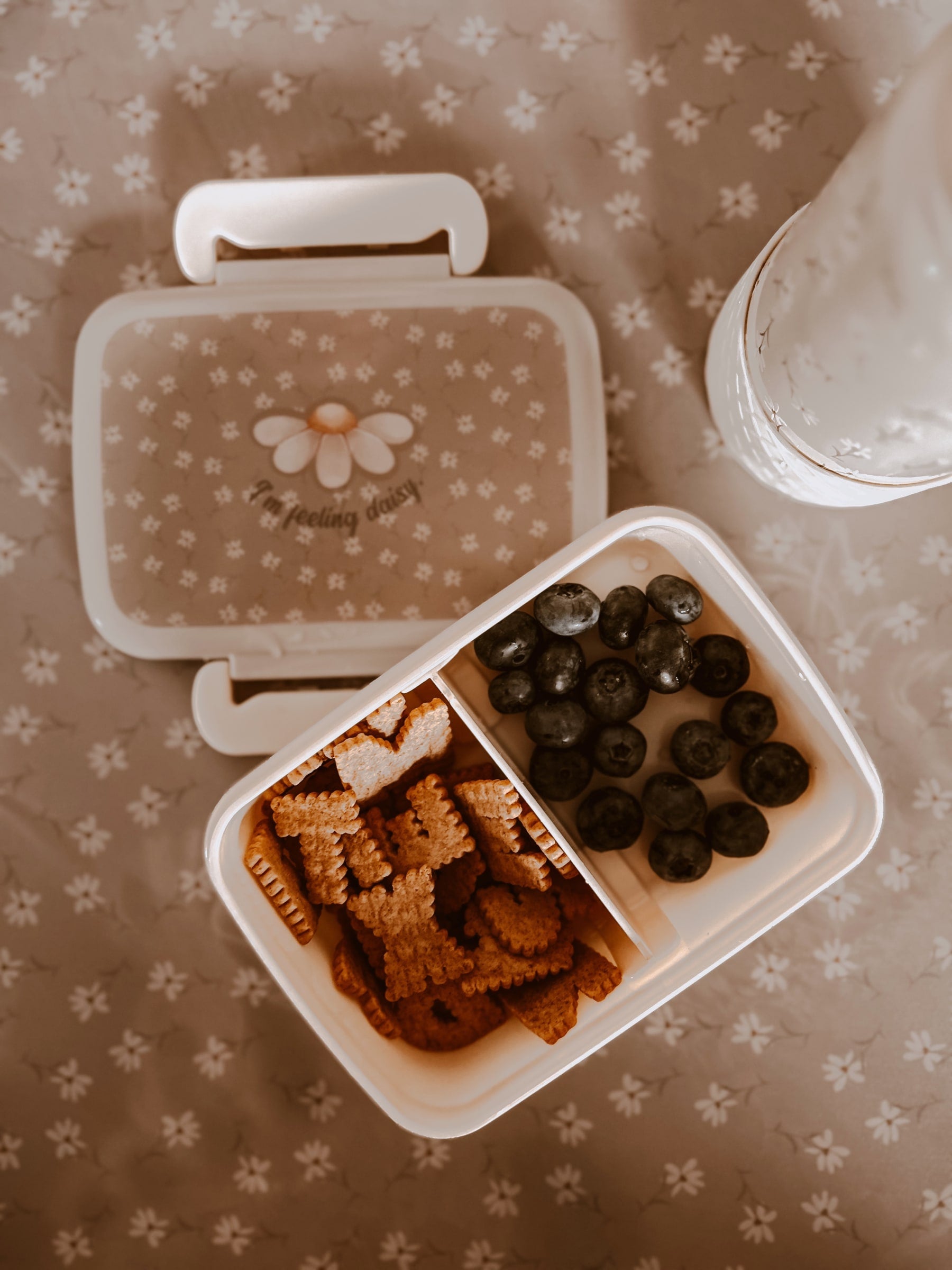Raymon Snack Box Elephant Tuscany Rose