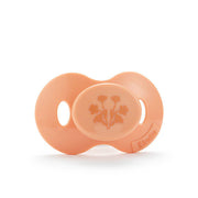Schnuller Amber Apricot 3M+