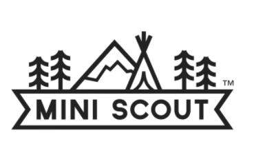 The mini scout