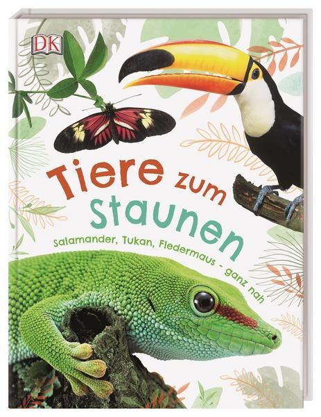 Dorling Kindersley - Tiere zum Staunen Salamander, Tukan, Fledermaus - ganz nah