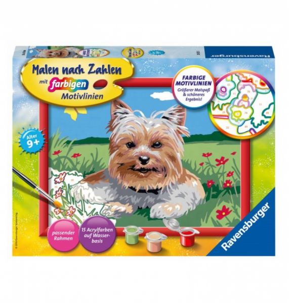 Ravensburger - Malen nach Zahlen, Kleiner Yorkshire Terrier