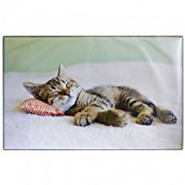 Schreibunterlage Katze