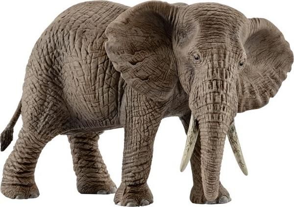 Schleich Wild Life 14761 - Afrikanische Elefantenkuh
