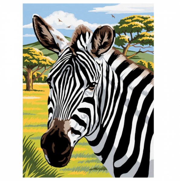 Mammut - Malen nach Zahlen, Zebra