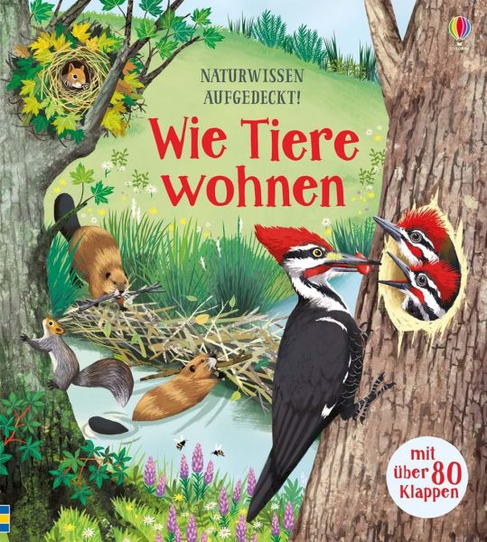 Usborne Verlag - Naturwissen aufgedeckt! Wie Tiere wohnen (Mit über 80 Klappen)
