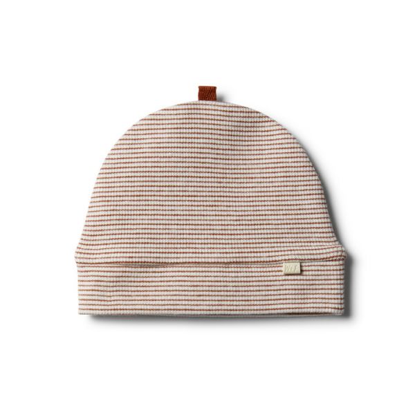 wilson &amp; frenchy - Organic Toasted Pecan Beanie