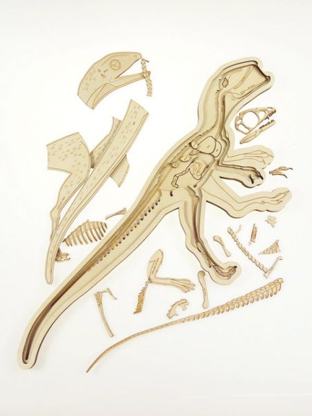 Stuka Puka - Holz Anatomie Puzzle Dinosaurier (deutsch)