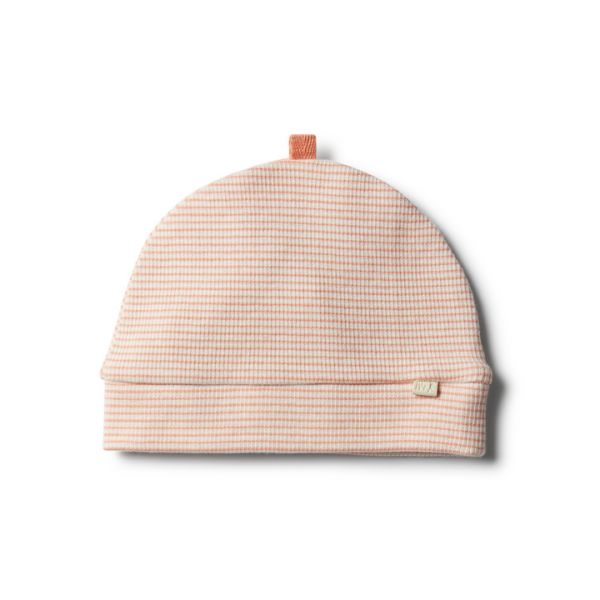 wilson &amp; frenchy - Organic Desert Flower Beanie